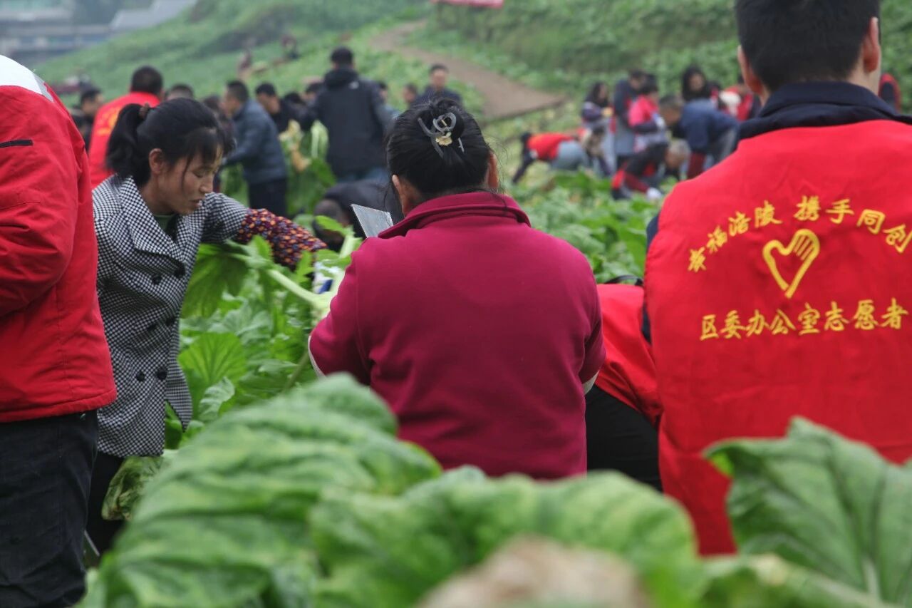 GA黄金甲(中国游)最新官方网站